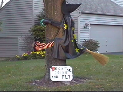 Don t drink and fly
